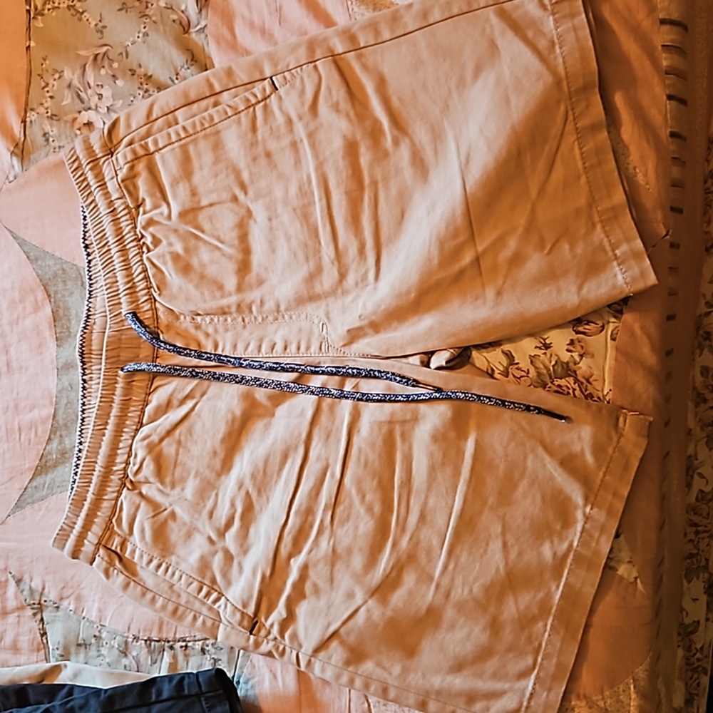 PacSun Shorts